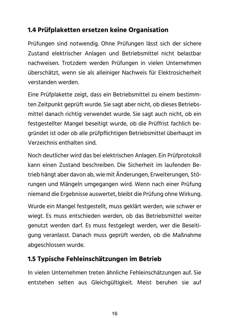 Blick ins Buch Seite 16 Prüfplaketten ersetzen keine Organisation